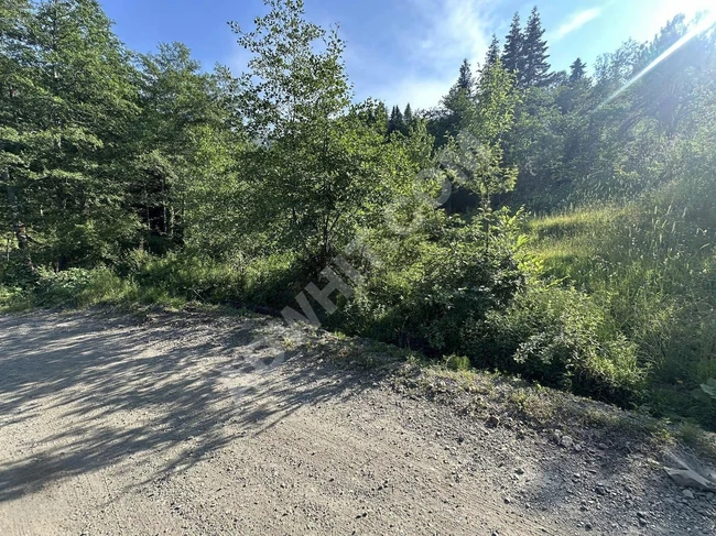 KASTAMONU İNEBOLU ÇİÇEKYAZI'DA KÖY İÇİNDE 426 M2 UYGUN ARSA