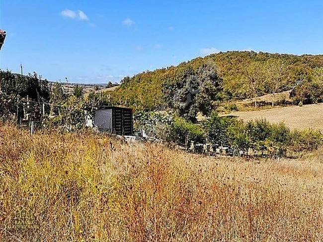 ÇATALCA ÇİFTLİKKÖY ORMAN CEPHELİ 1662 M2 ARAZİ