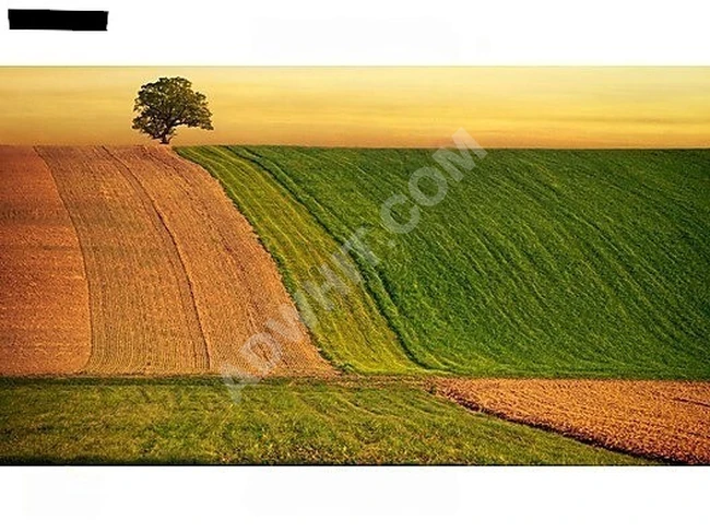 Bölge Fiyatlarının Altında! 2.625 m² Arazi Fırsat Yatırım!