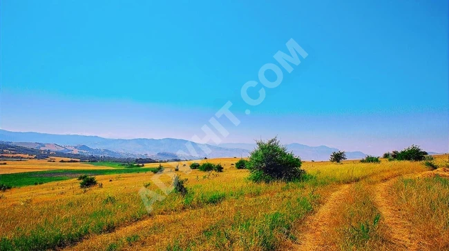 ŞOK FİYAT ! HAVSA TAHAL'DA 2 TAPU TOPLAM 6.725 m² ARAZİ