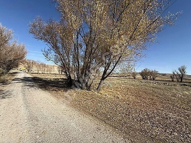 NEVŞEHİR KOZAKLI AYLI MAHALLESİNDE KONUT İMARLI 1.128 M2 ARSA