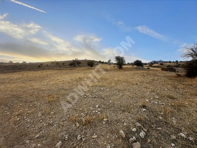 ISPARTA YALVAÇ KÖRKÜLER'DE 43.896 M2 UYGUN ARSA