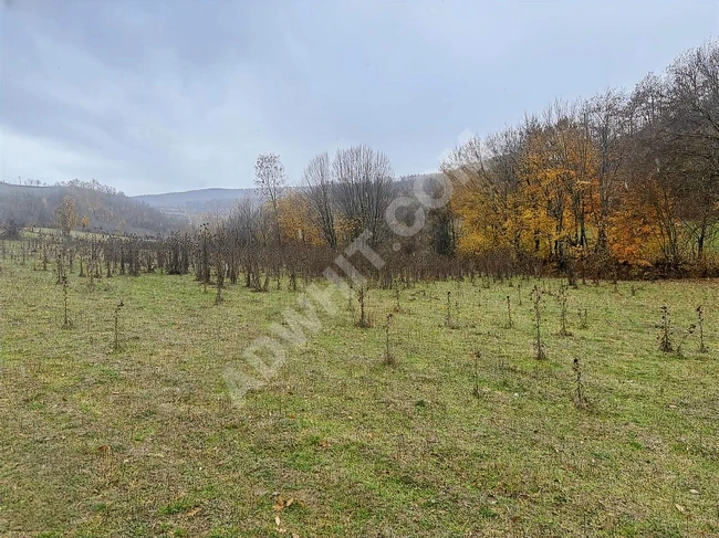 SAMSUN KAVAK ORTAKÖY'DE4.903M2 UYGUN ARSA