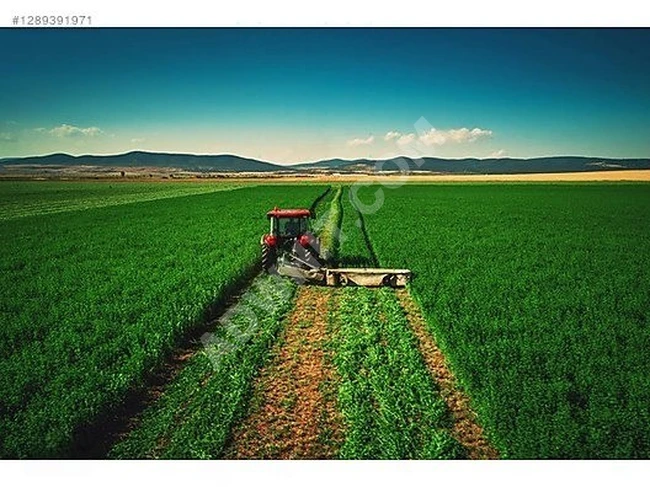 ŞOK FİYAT ! HAVSA TAHAL'DA 2 TAPU TOPLAM 6.725 m² ARAZİ