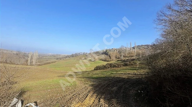 BALIKESİR MANYAS HEKİM'DE KÖY İÇİNDE 5.193 M2 UYGUN ARSA