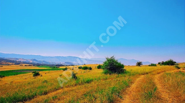 DİKKAT! Edirne'de Çaplı&Muvafakatnameli 231m² Arsalar, BURDA!