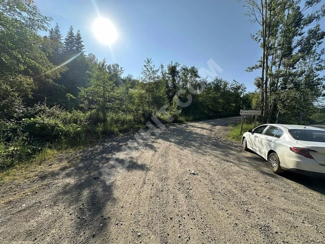 KASTAMONU İNEBOLU ÇİÇEKYAZI'DA KÖY İÇİNDE 426 M2 UYGUN ARSA