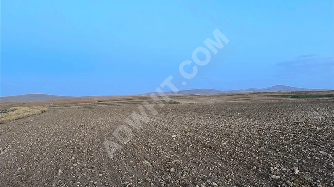 AFYONKARAHİSAR SULTANDAĞI ÜÇ KUYU PINARLI UYGUN ARSA