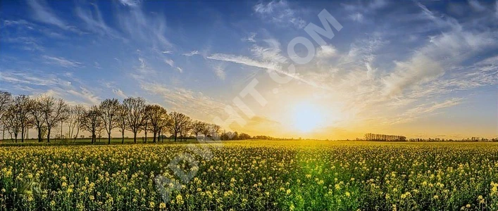 DİKKAT! Edirne'de Çaplı&Muvafakatnameli 231m² Arsalar, BURDA!