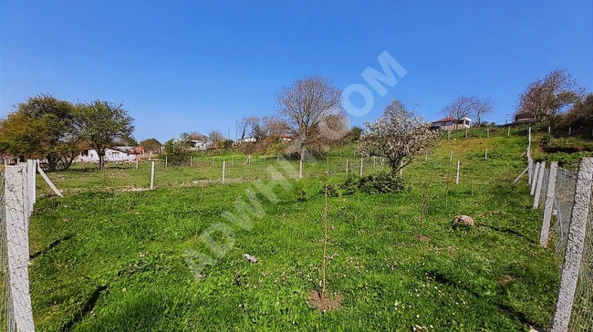 Çatalca Aydınlar Köy Merkezinde 301m² Tarla - Yatırım Fırsatı!