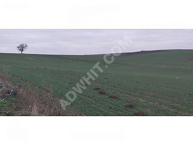 TURNACI'DA UYGUN FİYATA SATILIK İMARLI ARSA