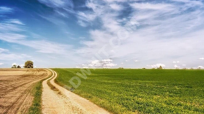 ŞOK FİYATA - Tek Tapu ! Babaeski'de 6.400 m² Arsa - Yola Cephe