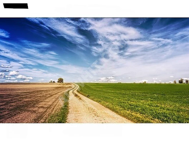 Bölge Fiyatlarının Altında! 2.625 m² Arazi Fırsat Yatırım!