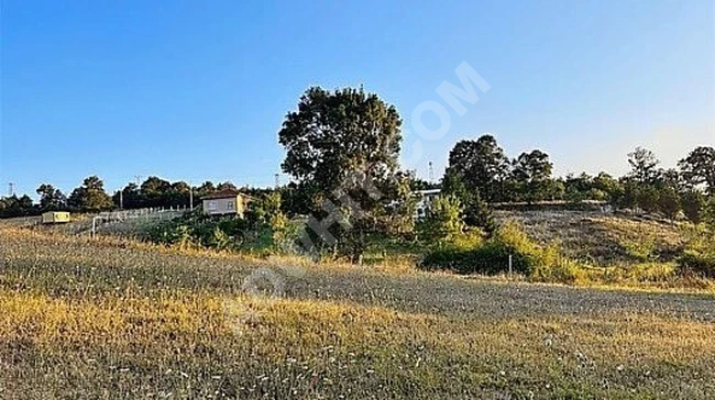 ÇATALCA ÇİFTLİKKÖY ORMAN CEPHELİ 1662 M2 ARAZİ