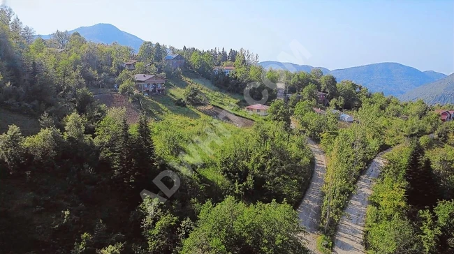 KASTAMONU İNEBOLU ÇİÇEKYAZI'DA KÖY İÇİNDE 426 M2 UYGUN ARSA