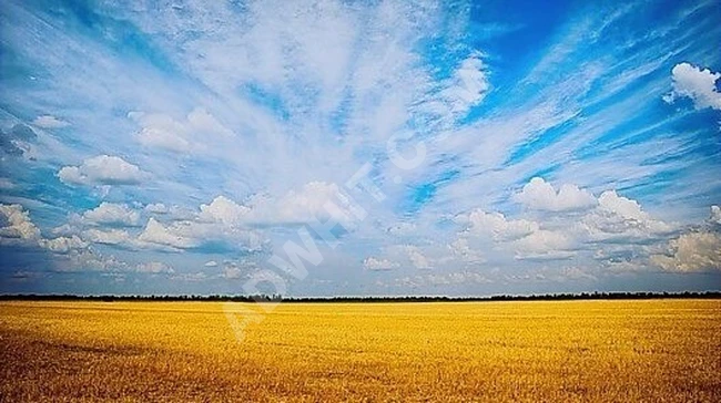 İlçe Merkezine 15dk. Mesafe, Çaplı 1.327m² Özel Parsel Son 2adet