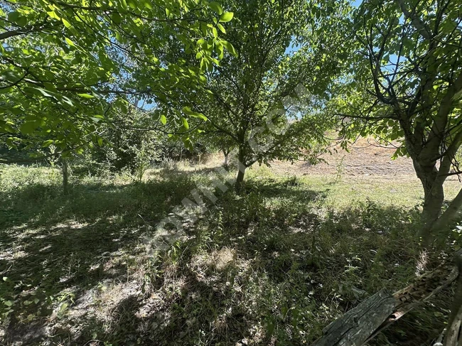 BOLU GÖYNÜK BULANIK'DA KÖY İÇİNDE 975 M2 UYGUN ARSA