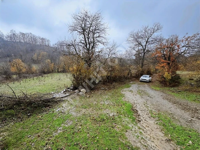 SAMSUN KAVAK ORTAKÖY'DE4.903M2 UYGUN ARSA