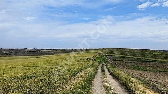 Pehlivanköy Doğancada Hızlı Trene Yakın 1177 m² Satılık Arsa!