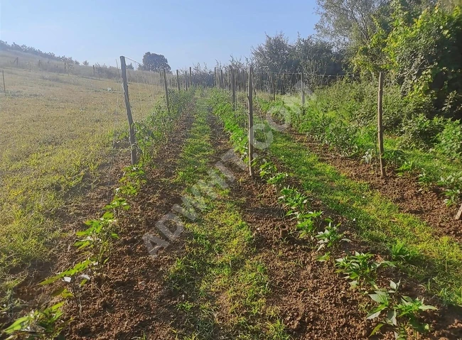 Bursa İznik Mecidiyede Satılık MüstakilTarla Detaylar Açıklamada