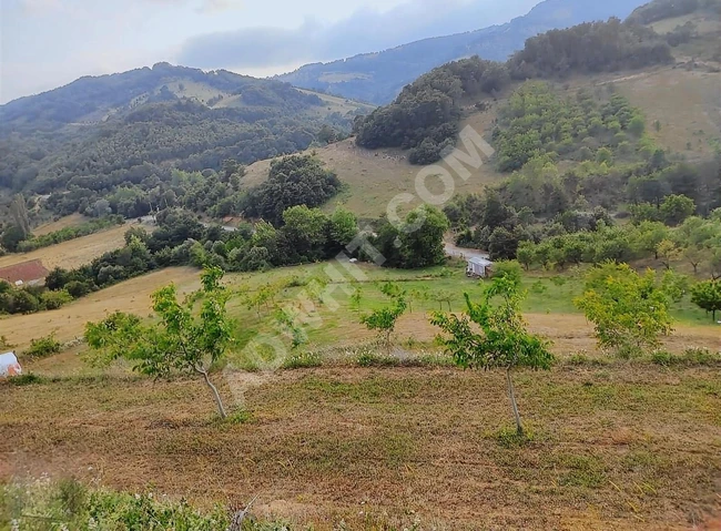 Bursa İznik Mecidiyede Satılık MüstakilTarla Detaylar Açıklamada