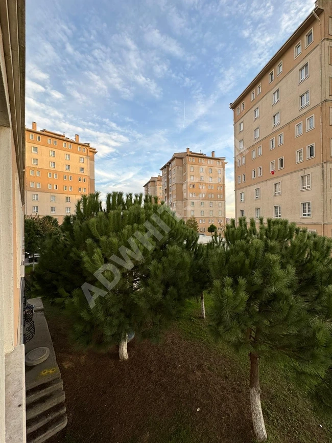 شقة غرفتين وصالة فارغة ايجار سنوي باشاك شهير