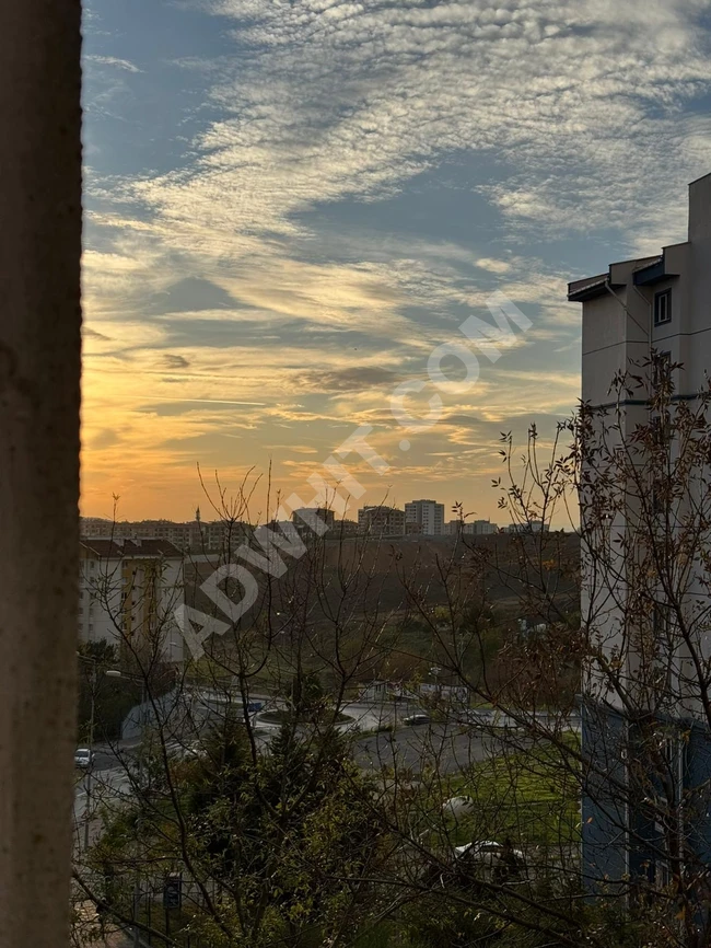 شقة غرفتين وصالة فارغة ايجار سنوي باشاك شهير