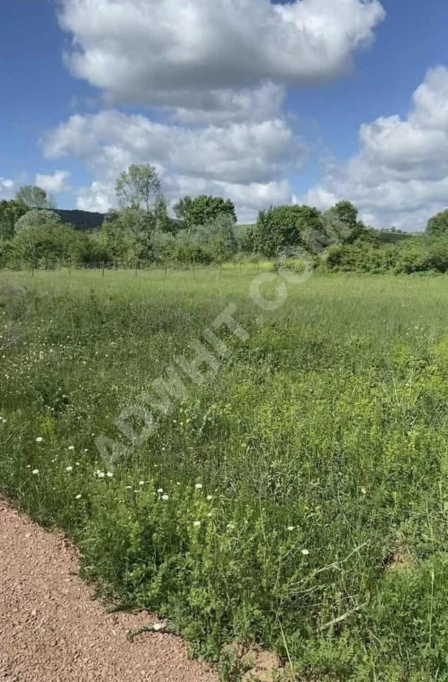 Sevindik osmanlı mah çok güzel yer