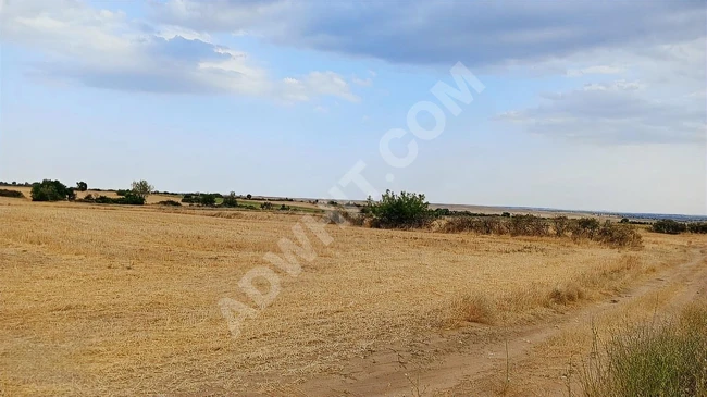 FİYAT DÜŞTÜ KIRKLARELİ MERKEZ KAYALI 14 DÖNÜM TEK TAPU