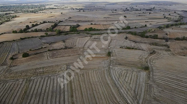 EDİRNE UZUNKÖPRÜ KURTBEY SATILIK TARLA 694 M2