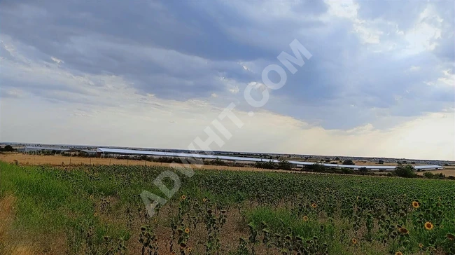 FİYAT DÜŞTÜ KIRKLARELİ MERKEZ KAYALI 14 DÖNÜM TEK TAPU