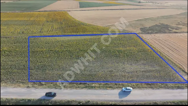 Kayabeyli Köyü’nde Satılık 6.950 m² Asfalt Cepheli Tarla