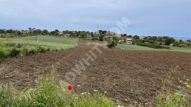 ACİL EDİRNE İPSALA TEVFİKİYE TARLANIN YARISI İMARDA SATILIK 2626