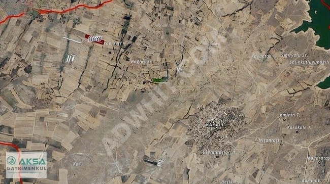 KIRKLARELİ MERKEZ KAYALI 9 DÖNÜM TEK TAPU