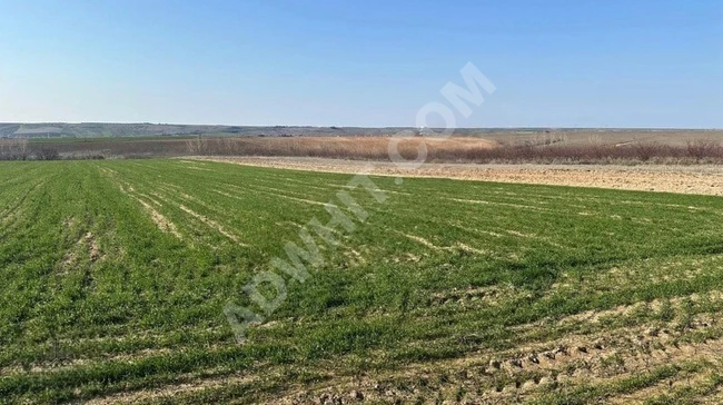 =ADRES=BABAESKİ KARACAOĞLAN 24.000m² YOLA CEPHELİ SATILIK TARLA