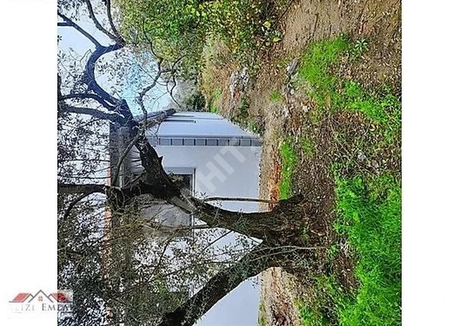 balıkkesir erdekte bu mevsimde en iyi yeri en iyi fiyata alın