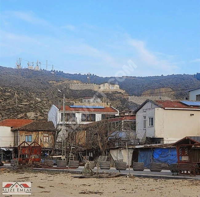 acil acil acil deniz manzaralı takasa 120 zeytin ağacı 3.900 m2