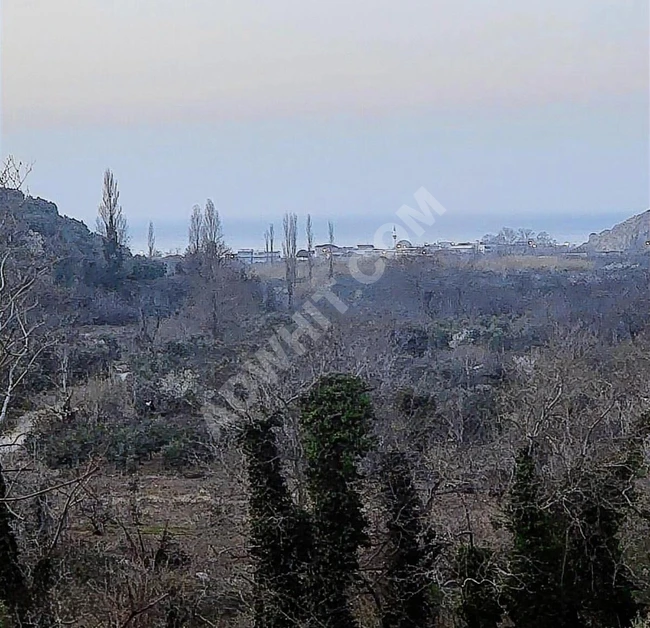 acil acil acil deniz manzaralı takasa 120 zeytin ağacı 3.900 m2