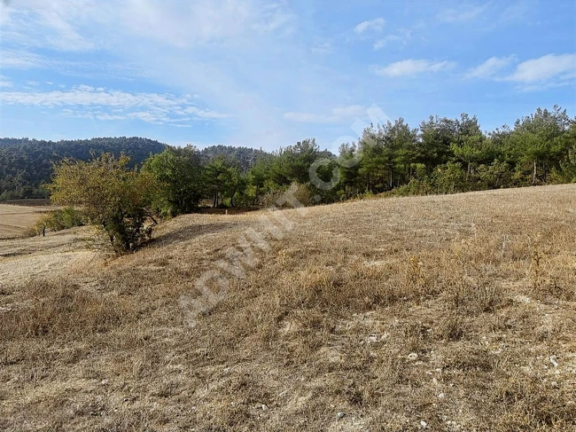 BOLU GÖYNÜK İBRAHİMÖZÜ KÖY İÇİ SATILIK ARSA