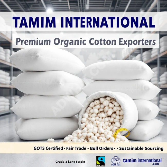Buy Cotton Online