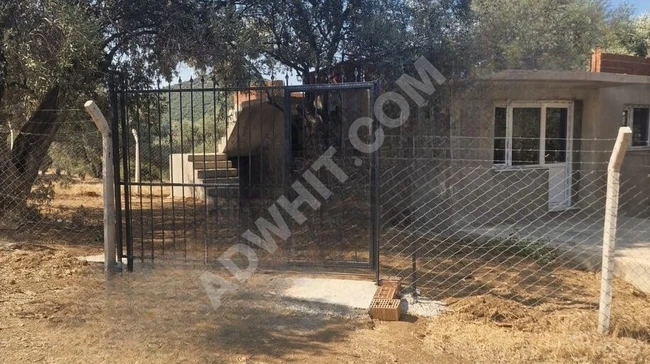 İzmir Bayındır Yusuflu Köyü 444 m2 Satılık Zeytinlik