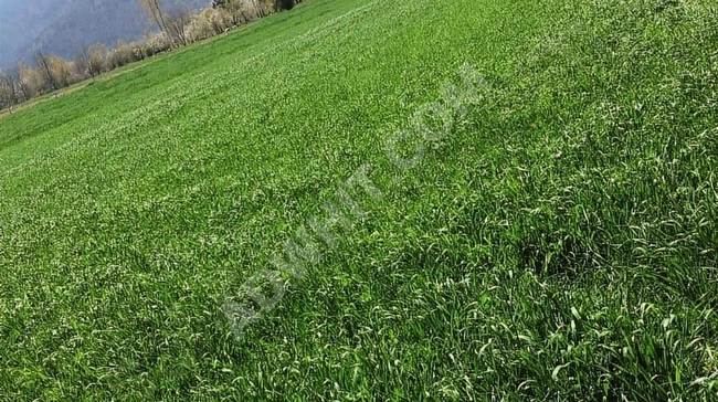 KÜTAHYA / SİMAV / ÇİTGÖL 788m2 SATILIK HİSSELİ ARAZİ