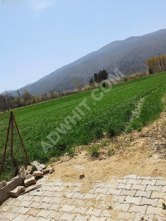 KÜTAHYA / SİMAV / ÇİTGÖL 788m2 SATILIK HİSSELİ ARAZİ