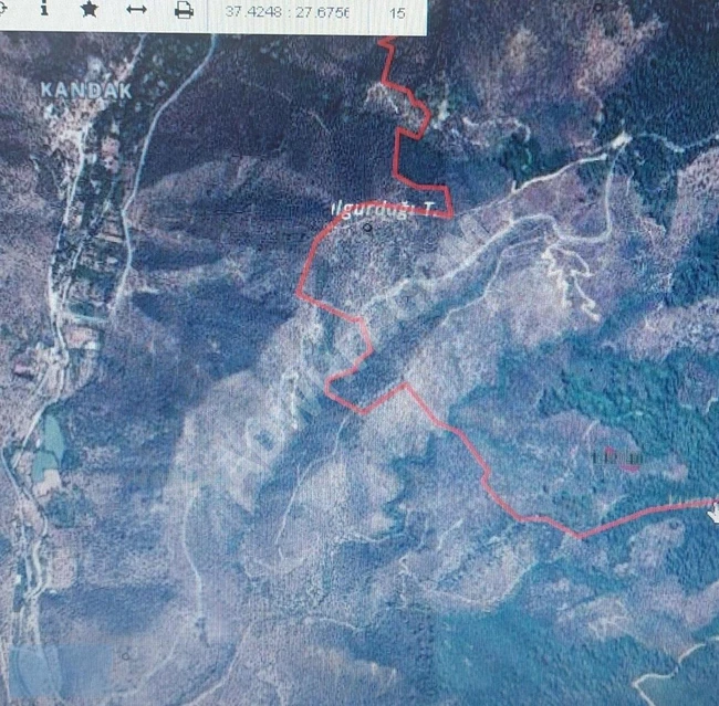 SATILIK TARLA TEK TAPU MUĞLA MİLASDA 1723 M2