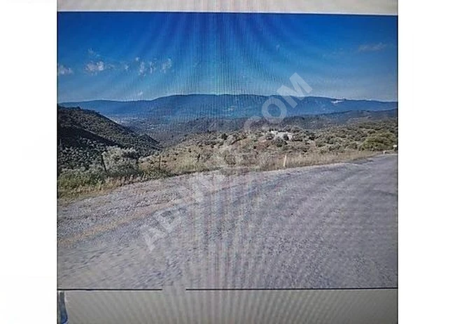 SATILIK TARLA TEK TAPU MUĞLA MİLASDA 1723 M2