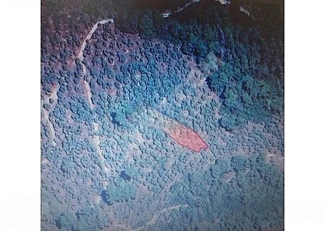 SATILIK TARLA TEK TAPU MUĞLA MİLASDA 1723 M2