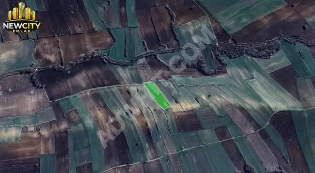 FIRSAT ÜRÜNLÜDE SATILIK TARLA 5.000 M2