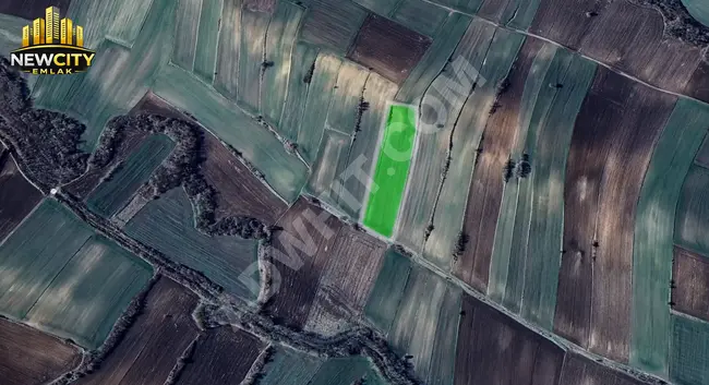 FIRSAT ÜRÜNLÜDE SATILIK TARLA 5.000 M2