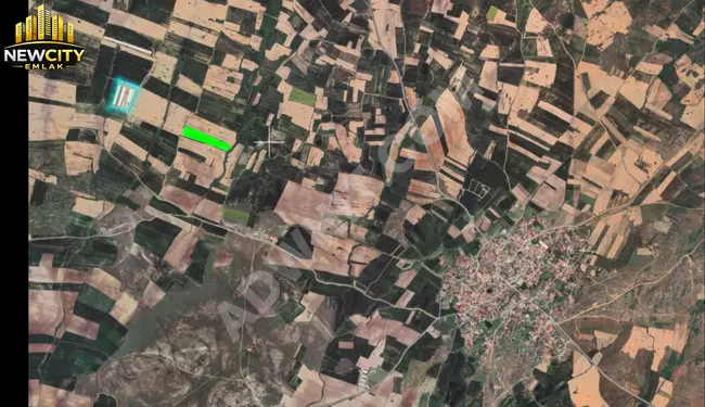 KAYALIDA 24.802 M2 SATILIK MÜSTAKİL TARLA