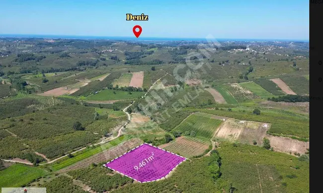 sahibinden Satılık Çok Amaçlı KULLANILABILECEK Fındık Bahçesi 